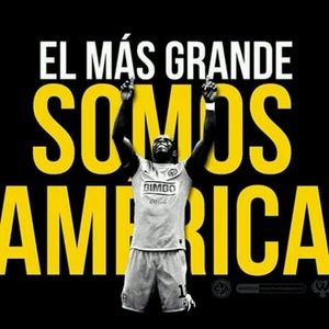 Meet your Posher, Francisco